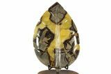 Polished Septarian Leaf with Stand - Madagascar #337671-1